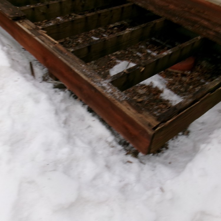 Just another WordPress site